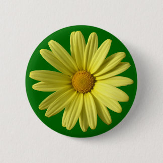 Yellow Daisy Button