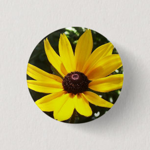 Yellow Daisy Button