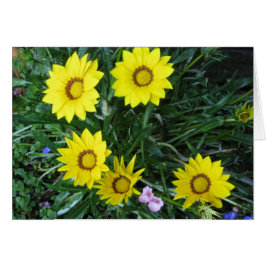 Yellow Daisy Card