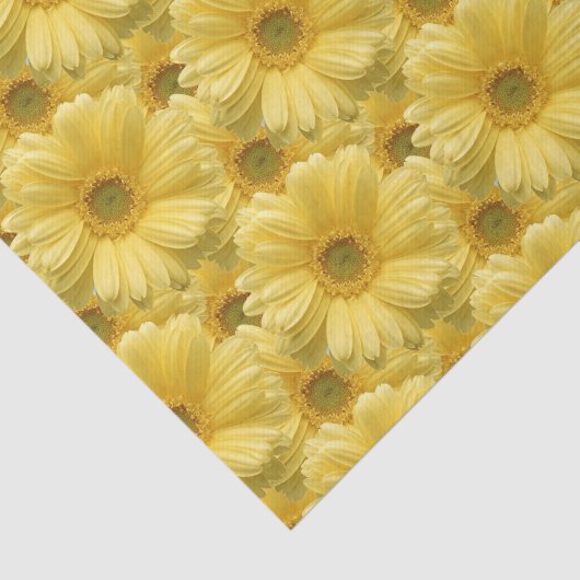 Yellow Daisy Daisies Blumenzettel Seidenpapier (Ausschnitt)