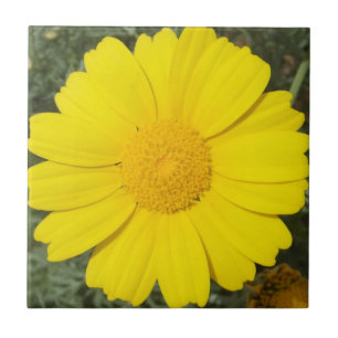 Yellow Daisy Fliese