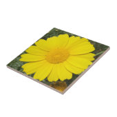 Yellow Daisy Fliese (Seite)