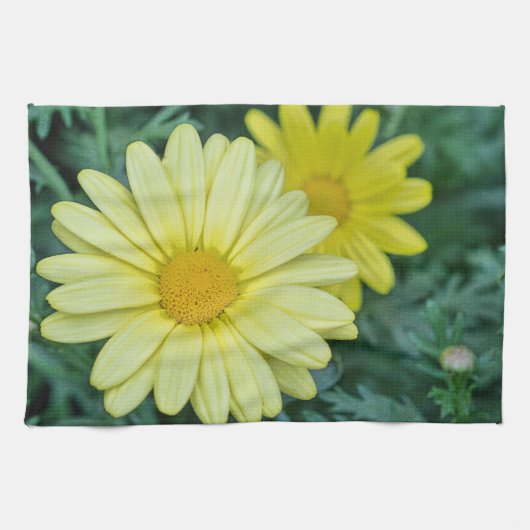 Yellow Daisy FotoArt Geschirrtuch (Horizontal)