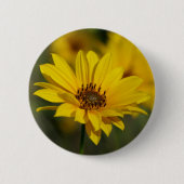 Yellow Daisy Helenium Abzeichen Button (Vorderseite)