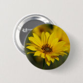 Yellow Daisy Helenium Abzeichen Button (Vorne & Hinten)