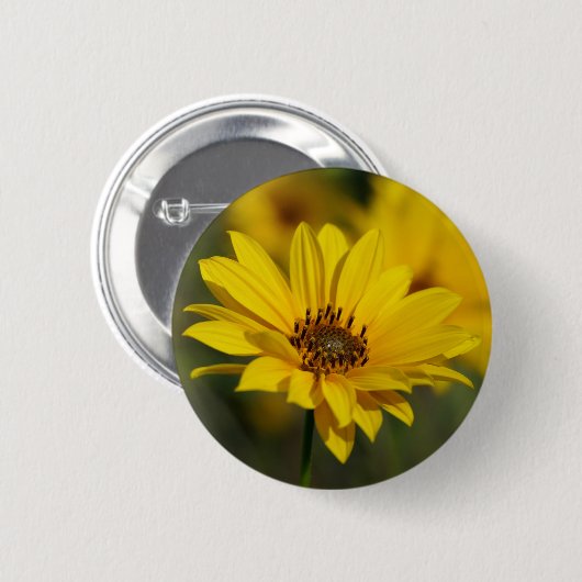 Yellow Daisy Helenium Abzeichen Button (Vorne & Hinten)