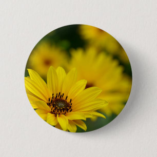 Yellow Daisy Helenium Abzeichen Button