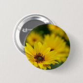 Yellow Daisy Helenium Abzeichen Button (Vorne & Hinten)