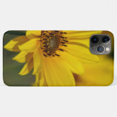 Yellow Daisy Helenium Case-Mate iPhone Hülle (Rückseite (Horizontal))