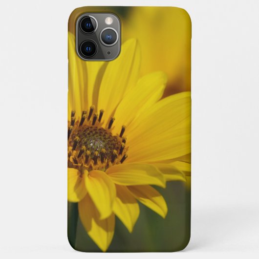 Yellow Daisy Helenium Case-Mate iPhone Hülle (Rückseite)