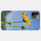Yellow Daisy Helenium Case-Mate iPhone Hülle (Rückseite (Horizontal))