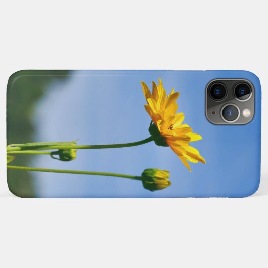 Yellow Daisy Helenium Case-Mate iPhone Hülle (Rückseite (Horizontal))