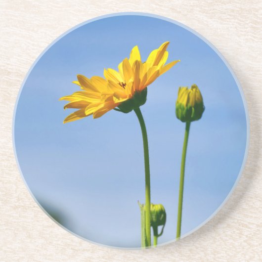 Yellow Daisy Helenium Getränkeuntersetzer (Vorne)