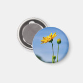 Yellow Daisy Helenium Magnet (Vorderseite/Rückseite)