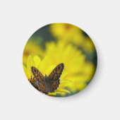 Yellow Daisy Helenium Magnet (Vorne)
