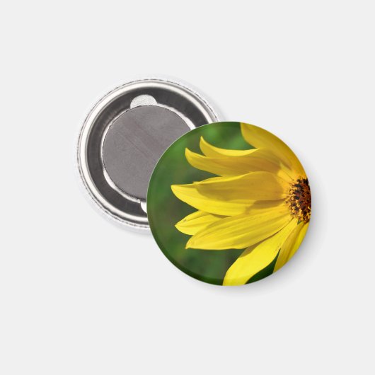 Yellow Daisy Helenium Magnet (Vorderseite/Rückseite)