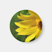 Yellow Daisy Helenium Magnet (Vorne)