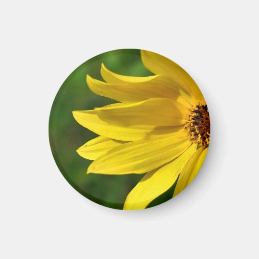Yellow Daisy Helenium Magnet (Vorne)