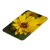Yellow Daisy Helenium Magnet (Linke Seite)