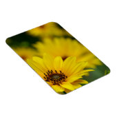 Yellow Daisy Helenium Magnet (Rechte Seite)