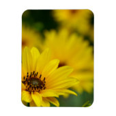 Yellow Daisy Helenium Magnet (Vertikal)
