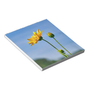 Yellow Daisy Helenium Notizblock