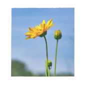 Yellow Daisy Helenium Notizblock (Vorderseite)