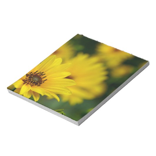 Yellow Daisy Helenium Notizblock (Rotiert)