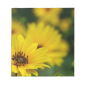 Yellow Daisy Helenium Notizblock (Vorderseite)