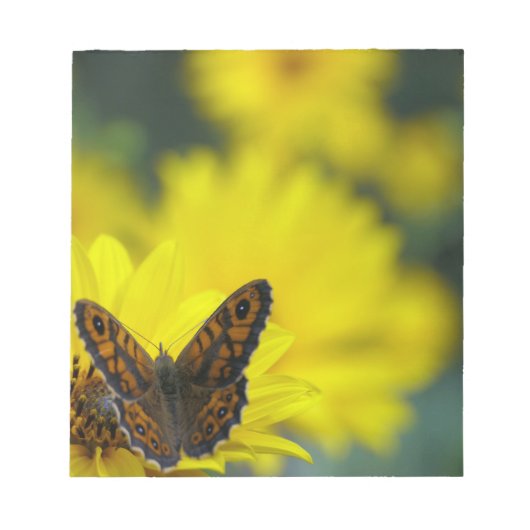 Yellow Daisy Helenium Notizblock (Vorderseite)