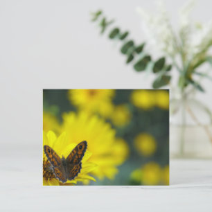 Yellow Daisy Helenium Postkarte