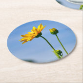 Yellow Daisy Helenium Runder Pappuntersetzer (Angewinkelt)