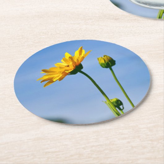 Yellow Daisy Helenium Runder Pappuntersetzer (Angewinkelt)
