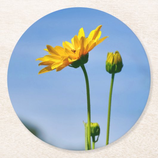 Yellow Daisy Helenium Runder Pappuntersetzer (Vorderseite)