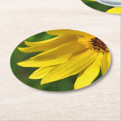 Yellow Daisy Helenium Runder Pappuntersetzer (Angewinkelt)