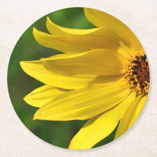 Yellow Daisy Helenium Runder Pappuntersetzer (Vorderseite)