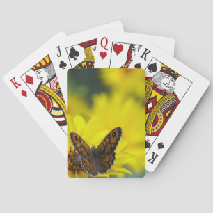 Yellow Daisy Helenium Spielkarten