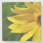 Yellow Daisy Helenium Steinuntersetzer (Vorderseite)