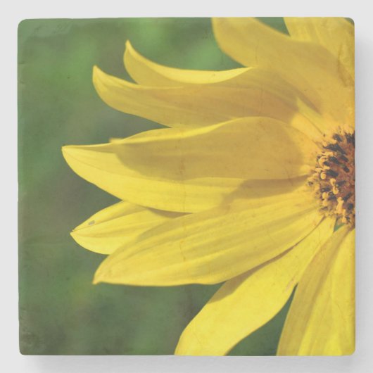 Yellow Daisy Helenium Steinuntersetzer (Vorderseite)
