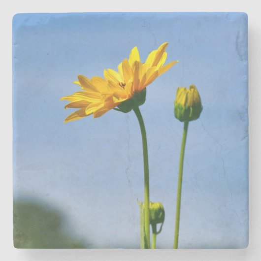Yellow Daisy Helenium Steinuntersetzer (Vorderseite)