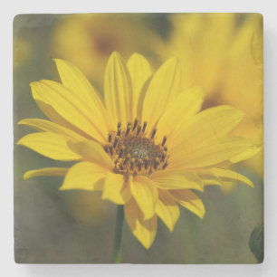 Yellow Daisy Helenium Steinuntersetzer