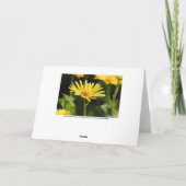 Yellow Daisy Karte (Rückseite)