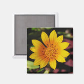 Yellow Daisy Magnet (Vorderseite/Rückseite)