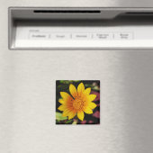 Yellow Daisy Magnet (In Situ (Geschirrspüler))
