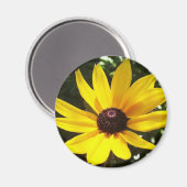 Yellow Daisy Magnet (Vorderseite/Rückseite)