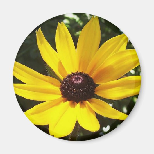 Yellow Daisy Magnet (Vorne)