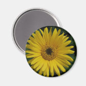 Yellow Daisy Magnet (Vorderseite/Rückseite)
