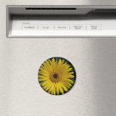 Yellow Daisy Magnet (In Situ (Geschirrspüler))