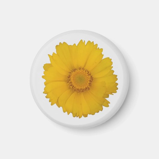 Yellow Daisy Magnet (Vorne)