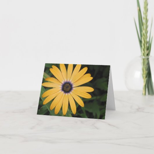 Yellow Daisy Note Card Karte (Vorderseite)